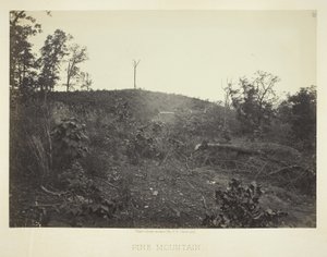 Montagne des pins - George N. Barnard