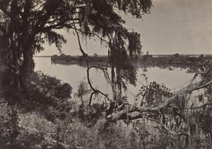 Rivière Savanah, près de Savanah, Géorgie, années 1860