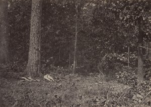 Scène de la mort du général McPherson, 1864 ou 1866 - George N. Barnard