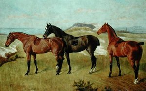 Trois chevaux : Whissendine, Swallow et Tiptop - George Paice