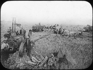 Scène de récolte dans les prairies nord-américaines, fin du XIXe ou début du XXe siècle - George Philip and Son Ltd