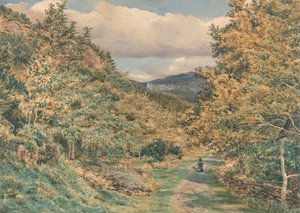 Une route près de Bettws-y-Coed - George Price Boyce