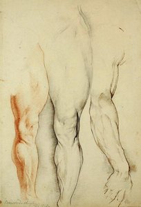 La cuisse de Boswood