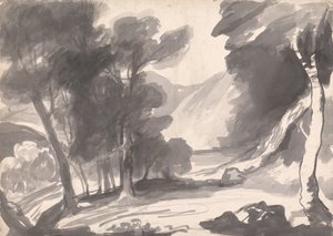 Clairière dans une forêt