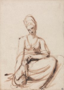 Femme assise nourrissant un animal