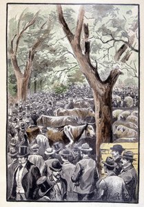 La foule se pressait déjà sur le lieu du concours (page 259) dans "Testament d
