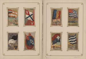 Drapeaux de toutes les nations et des États-Unis d
