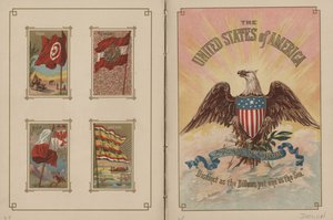 Drapeaux de toutes les nations et des États-Unis d