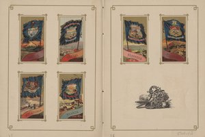 Drapeaux de toutes les nations et des États-Unis d
