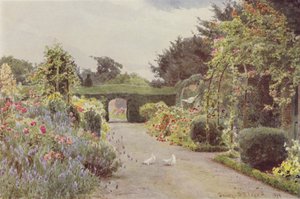 Roses de Chine et Lavande, Palmerstown - George Samuel Elgood