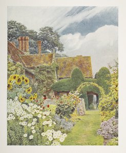 Cleeve Prior, Tournesols, illustration dans 