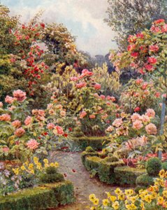 Partout des roses, des roses" (lithographie couleur) - George Samuel Elgood