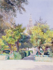 Dans le jardin de l
