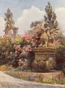 Jardins italiens : Roses de Chine, Villa Imperiali - George Samuel Elgood
