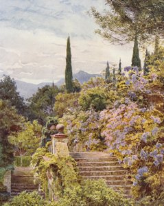 Jardins italiens : Glycine, Villa Cavagnaro - George Samuel Elgood