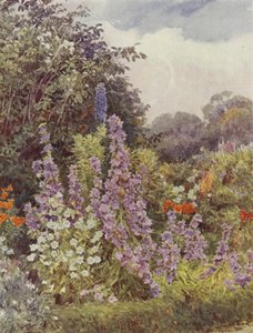 Campanule violette - George Samuel Elgood