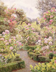 Raundscliffe - Partout des roses - George Samuel Elgood