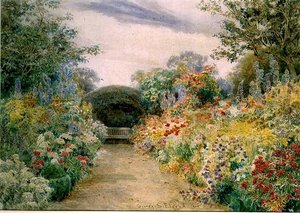 Fleurs d