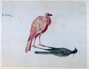 Oiseau, 1820-1876 - George Sand