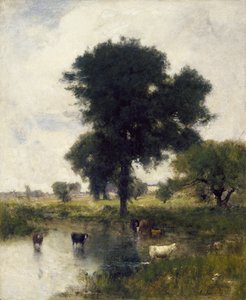 Bétail dans une piscine (paysage d
