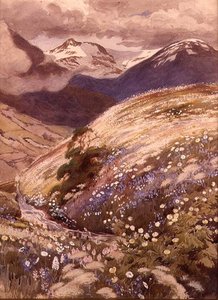 Fleurs alpines - George Soper