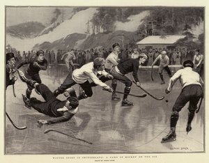 Sport d