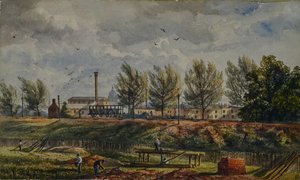 Coupure du Grand Chemin de Fer du Nord à Kings Cross, une esquisse de la nature - George Stewart