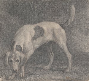 Un Foxhound sur la Piste - George Stubbs