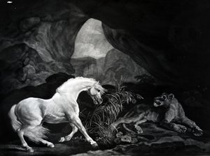 Un cheval effrayé par une lionne, gravé par Benjamin Green, 1774