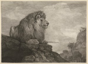 Un lion [Un lion reposant sur un rocher] - George Stubbs