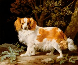 Un épagneul King Charles foie et blanc dans un paysage boisé - George Stubbs