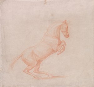 Un Cheval Cabriolant, Face à Droite - George Stubbs