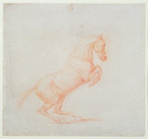 Un cheval cabré, tourné vers la droite, 1790 - George Stubbs