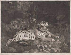 Un tigre et un léopard endormi - George Stubbs