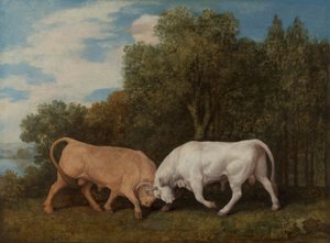 Taureaux en Combat - George Stubbs