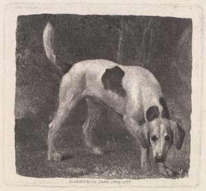 Chien (Un chien de chasse sur la piste) gravé par l