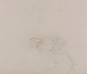 Corps de poule de Dorking, vue latérale - George Stubbs