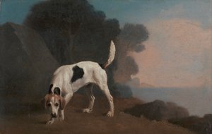 Foxhound - George Stubbs