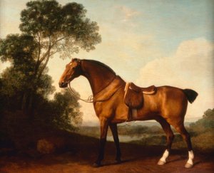 Un chasseur bai sellé - George Stubbs