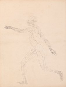 Figure humaine, vue latérale (Pour la figure clé de la Table XIII)