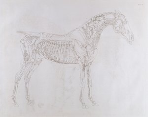Illustration de 