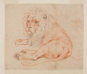 Lion au repos, recto, 18ème ou 19ème siècle - George Stubbs