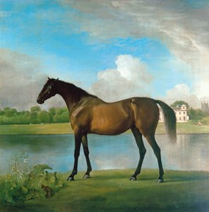 La jument poulinière de Lord Bolingbroke dans les jardins de Lydiard Park, Wiltshire, c.1764-66 - George Stubbs