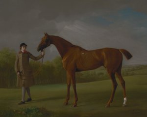 Lustre, tenu par un marié - George Stubbs