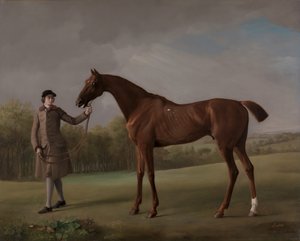 Lustre, tenu par un palefrenier, vers 1762 - George Stubbs