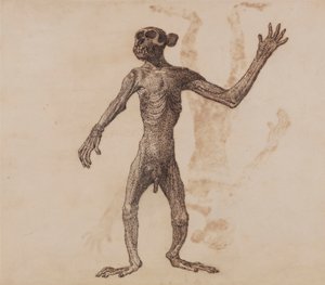 Singe debout, vue antérieure - George Stubbs