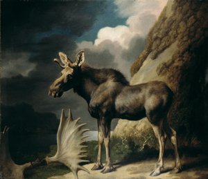 Élan, 1770 - George Stubbs