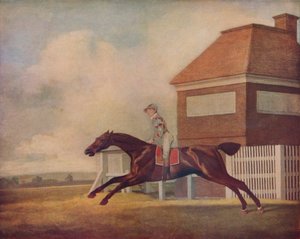 Le cheval de course Trentham de M. Ogilvy à Newmarket avec jockey, 1771 - George Stubbs