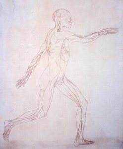 Étude de la figure humaine, vue latérale, d