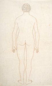 Étude de la figure humaine, vue postérieure, d